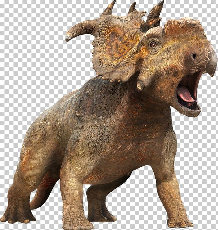 Pachyrhinosaurus Scowler Dinosaur Triceratops Carnotaurus PNG, Clipart, Ark Survival Evolved, Carnotaurus, Dinosaur, Drawing, Extinction Free PNG Download