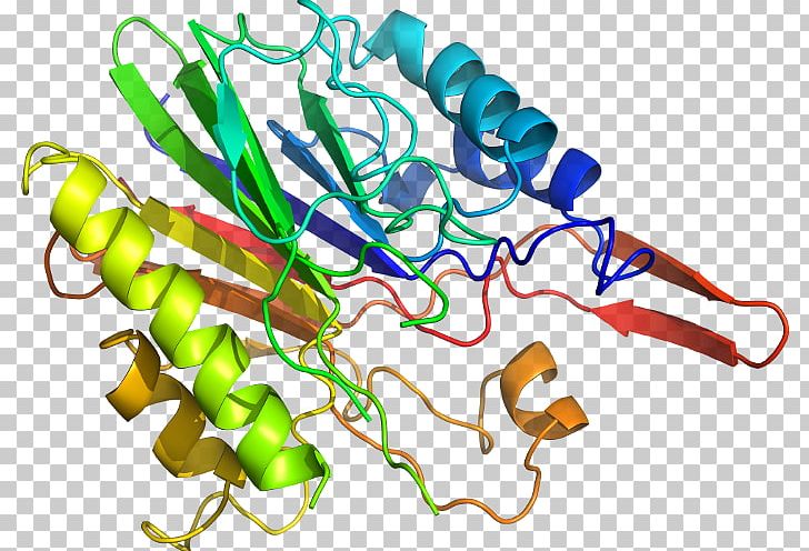 Protein Structure Prediction Computer Software BLAST PNG, Clipart, Bioinformatics, Blast, Computer Software, Diagram, Imagej Free PNG Download
