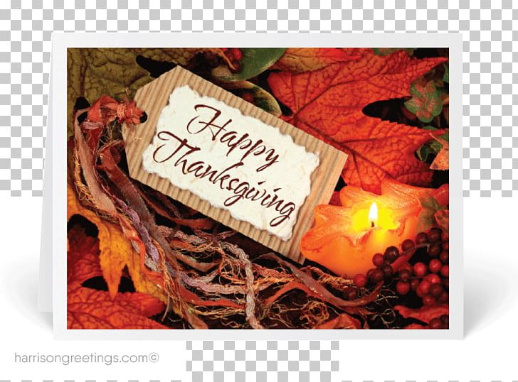 Greeting & Note Cards Thanksgiving PNG, Clipart, Card, Food Drinks, Greeting, Greeting Card, Greeting Note Cards Free PNG Download