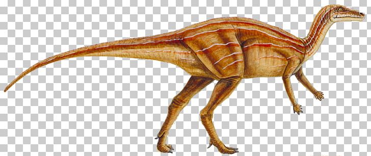 Velociraptor Orodromeus Lambeosaurus Reptile Late Cretaceous PNG, Clipart, Acrocanthosaurus, Animals, Dinosaur Egg, Dinosaur Footprints, Dinosaur Silhouette Free PNG Download