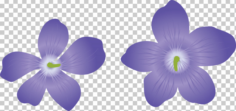 Violet Flower PNG, Clipart, Biology, Cut Flowers, Flora, Flower, Lavender Free PNG Download