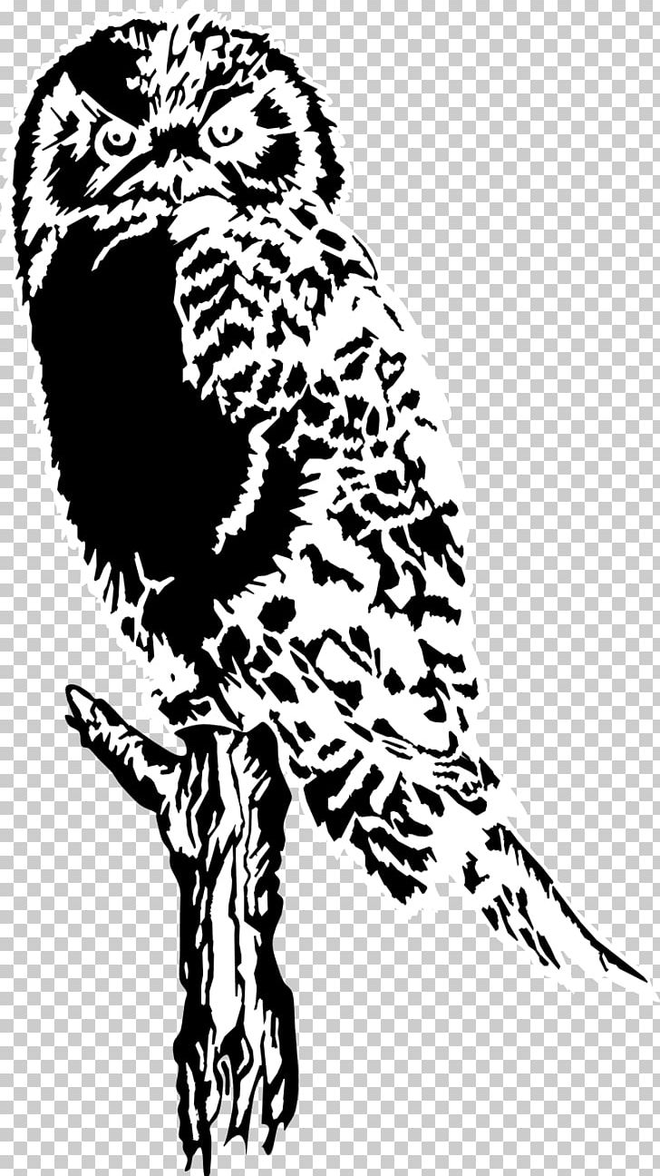 Drawing PNG, Clipart, Animals, Art, Beak, Bird, Bird Of Prey Free PNG Download