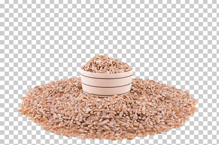 Wheat Cereal Seed Grain PNG, Clipart, Autumn, Autumn Wheat, Botany, Bowl, Bowling Free PNG Download