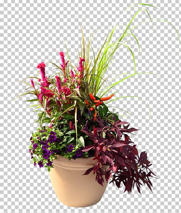 Homestead Gardens Houseplant Cut Flowers PNG, Clipart, Annual Plant, Cut Flowers, Davidsonville, Flora, Floral Design Free PNG Download