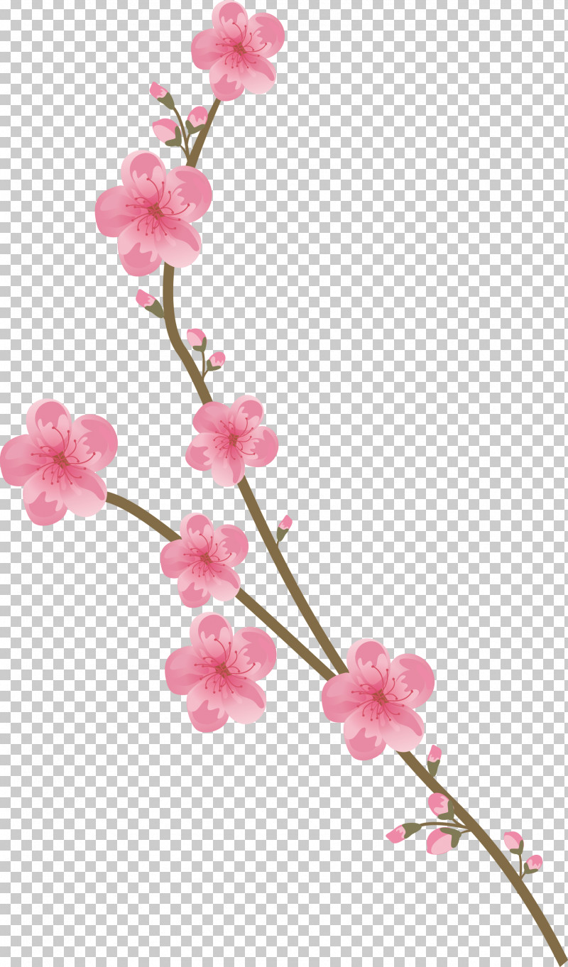 Flowers Floral PNG, Clipart, Artificial Flower, Blossom, Branch, Cherry Blossom, Cut Flowers Free PNG Download