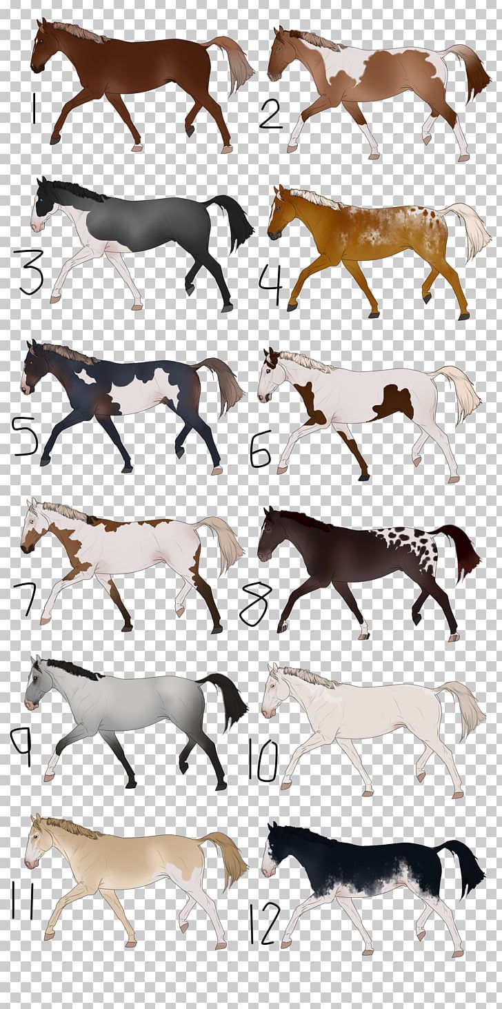 Canidae Horse Dog Mammal PNG, Clipart, Animals, Canidae, Carnivoran, Dog, Dog Like Mammal Free PNG Download