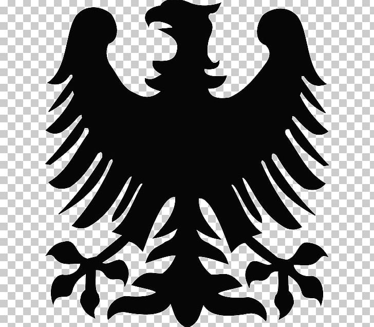 Coat Of Arms Of Poland Coat Of Arms Of Hungary PNG, Clipart, Beak, Bird, Bird Of Prey, Black, Black And White Free PNG Download
