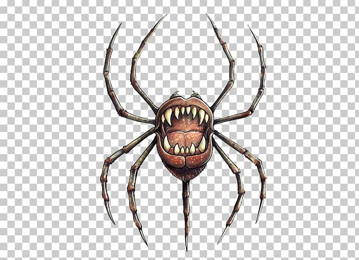 European Garden Spider Widow Spiders Pathfinder Roleplaying Game Flind Crab PNG, Clipart, Angulate Orbweavers, Animals, Arachnid, Araneus, Arthropod Free PNG Download