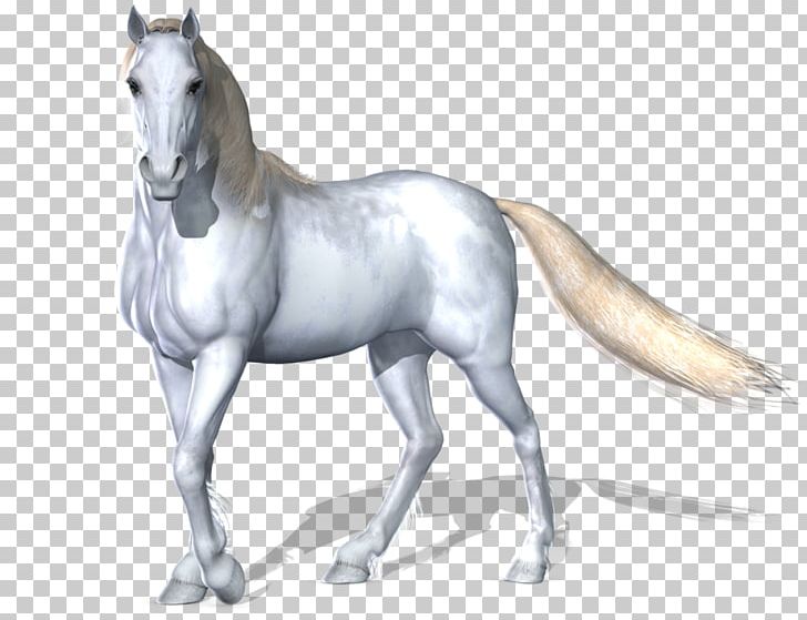 Horse PNG, Clipart, Horse Free PNG Download