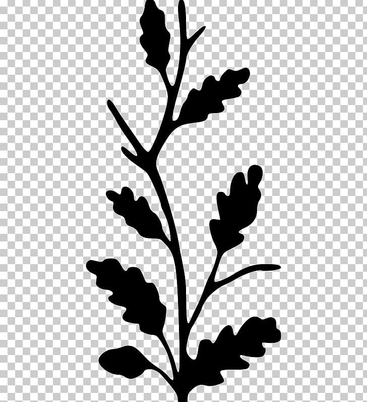 Twig Silhouette Oak PNG, Clipart, Animals, Artwork, Black And White, Branch, Clip Art Free PNG Download