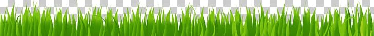 Wheatgrass Green Energy Plant Stem PNG, Clipart, Artificial Grass, Cartoon Grass, Computer, Computer Wallpaper, Creative Grass Free PNG Download