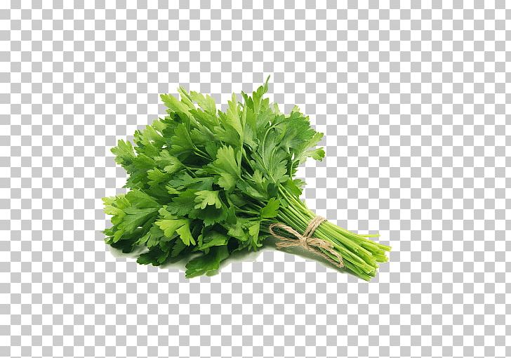Dish Herb Parsley Root Vegetable Food PNG, Clipart, Celery, Coriander, Dish, Dried Fruit, Food Free PNG Download