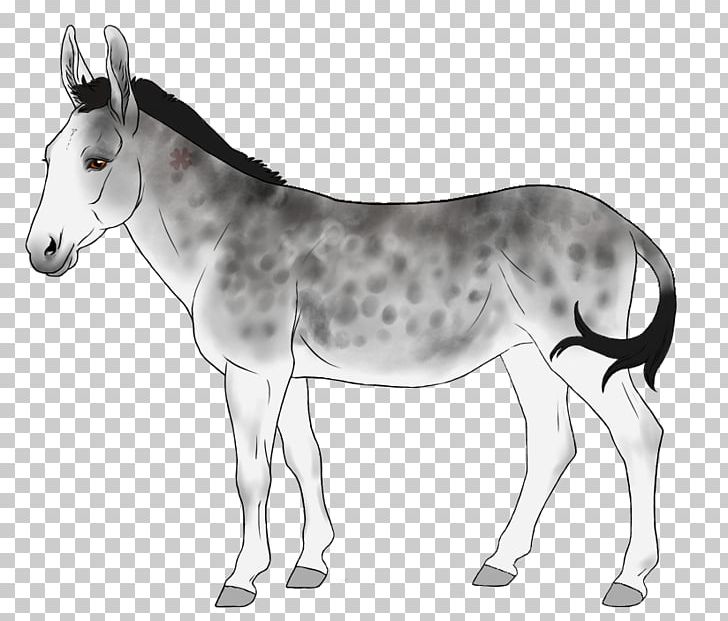 Mule Foal Donkey Mare Colt PNG, Clipart, Animal, Animals, Black And White, Bridle, Colt Free PNG Download