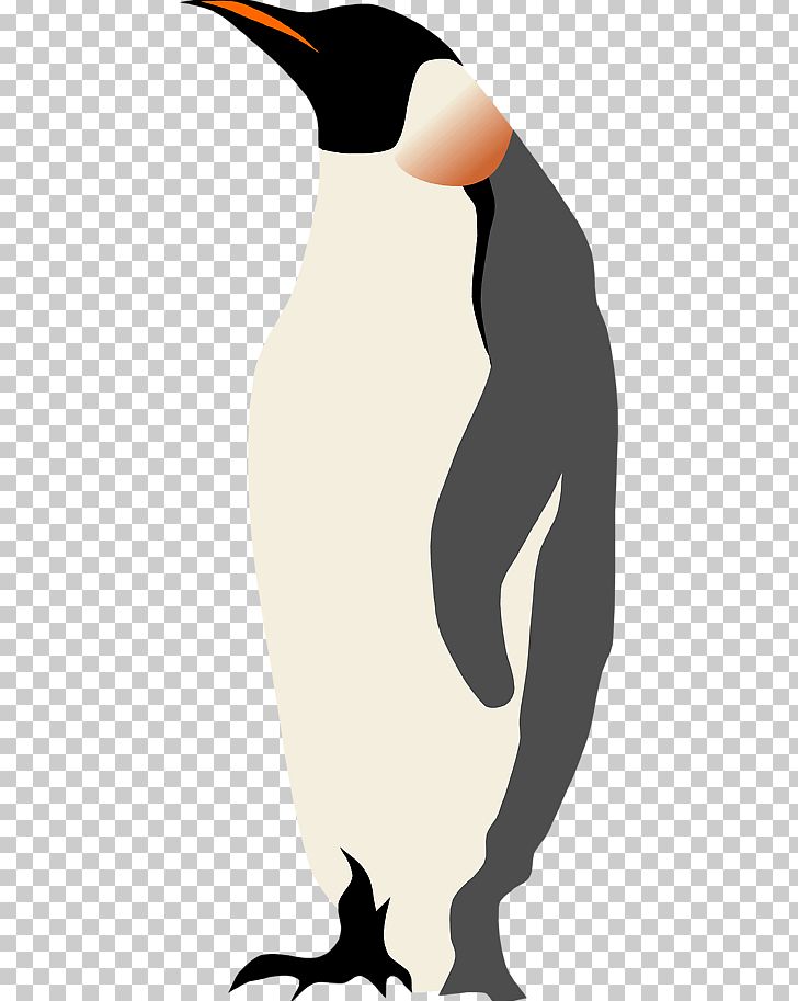 Penguin Bird Illustration PNG, Clipart, Arm, Beak, Bird, Cartoon, Drawing Free PNG Download