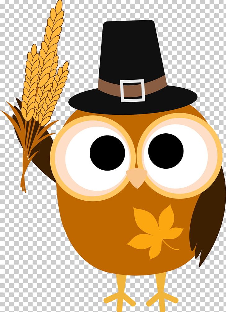 Thanksgiving Little Owl PNG, Clipart, Beak, Bird, Bird Of Prey, Drawing, Eyewear Free PNG Download
