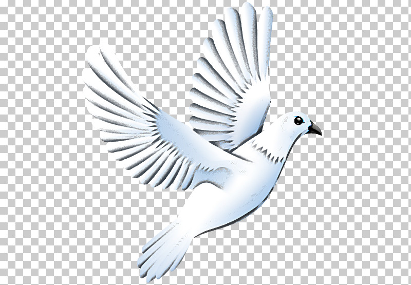 Feather PNG, Clipart, Beak, Bird, Feather, Logo, Pigeons And Doves Free PNG Download