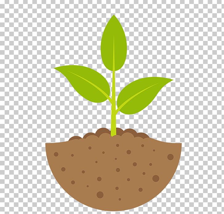 Graphics Illustration Plants PNG, Clipart, Istock, Leaf, Plant, Plants, Plant Stem Free PNG Download