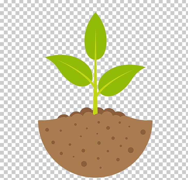 Graphics Illustration Plants PNG, Clipart, Istock, Leaf, Plant, Plants ...