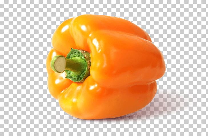 Habanero Chili Pepper Capsicum Bell Pepper Vegetable Steiner GmbH & Co. KG PNG, Clipart, Bell Pepper, Bell Peppers And Chili Peppers, Capsicum, Chili Pepper, Food Free PNG Download
