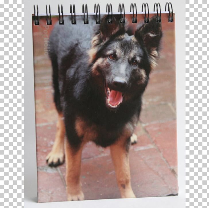 King Shepherd Shiloh Shepherd Dog German Shepherd Bohemian Shepherd Kunming Wolfdog PNG, Clipart, Bohemian Shepherd, Breed, Carnivoran, Dog, Dog Breed Free PNG Download