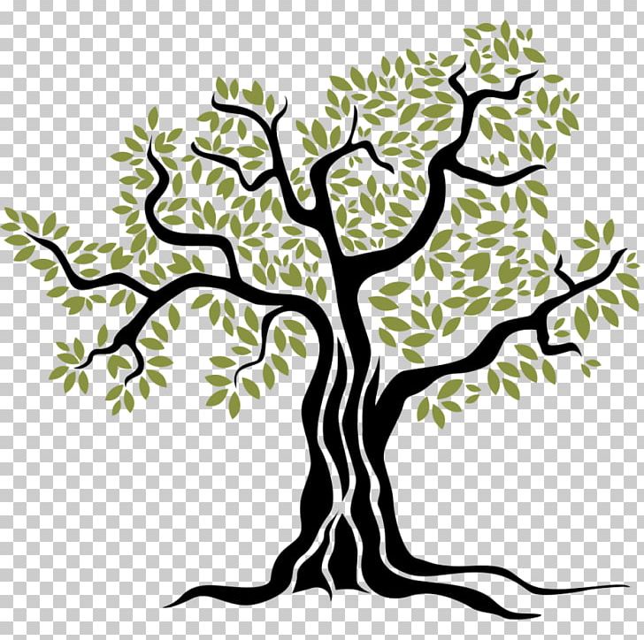 Olive Tree PNG, Clipart, Artwork, Black And White, Branch, Drawing, Flora Free PNG Download