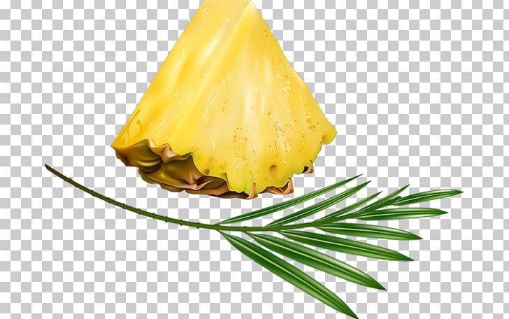 Pineapple Fruit Coconut Auglis Walnut PNG, Clipart, 2017, Ananas, Auglis, Bromeliaceae, Coconut Free PNG Download