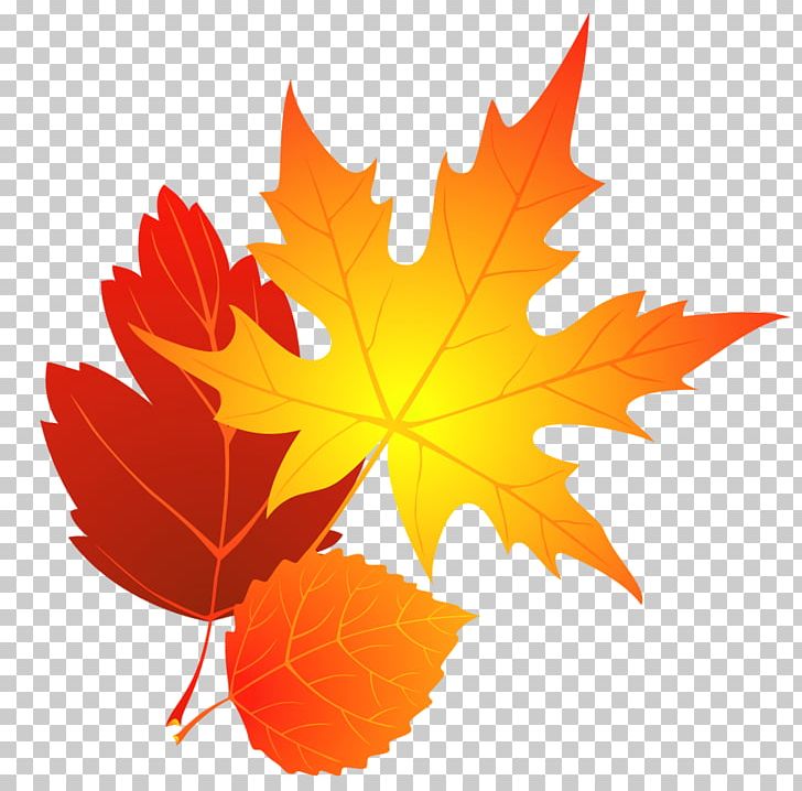 Transparent Fall Leaves PNG, Clipart, Autumn, Autumn Leaf Color, Blog, Clipart, Color Free PNG Download
