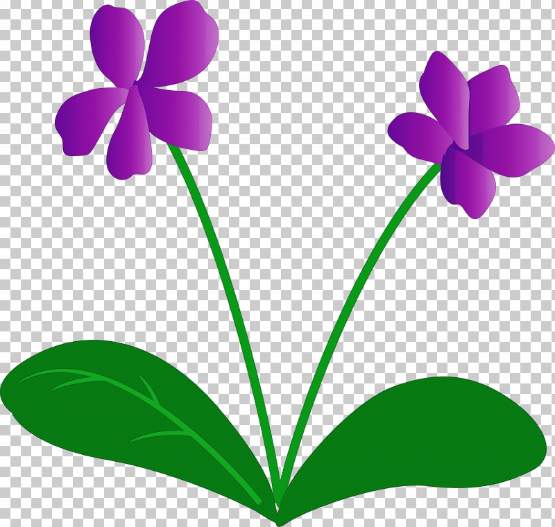 Violet Flower PNG, Clipart, Biology, Flora, Flower, Grasses, Herbaceous Plant Free PNG Download