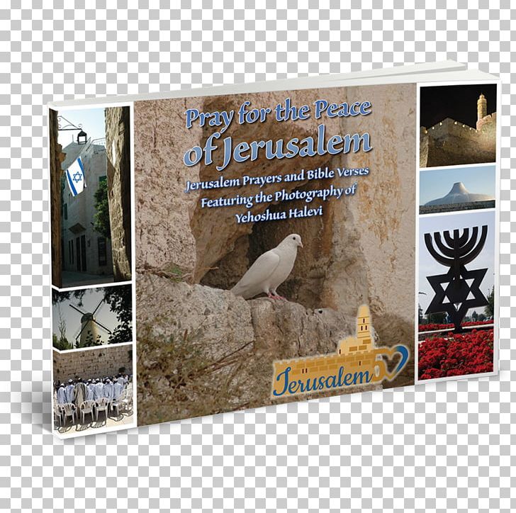 Land Of Israel Book Jerusalem Hardcover Hebrew Language PNG, Clipart, Advertising, Anniversary, Book, David, Ebook Free PNG Download