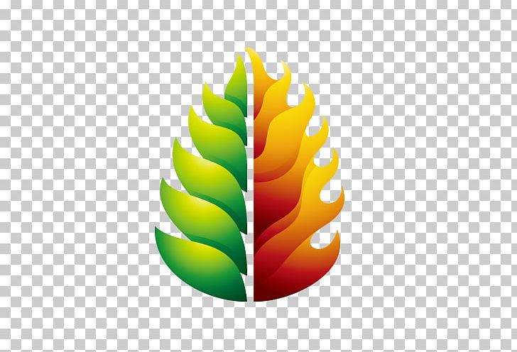 Logo PNG, Clipart, Banco De Imagens, Cartoon, Christmas Tree, Coconut Tree, Color Free PNG Download