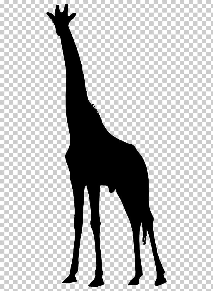 Silhouette West African Giraffe PNG, Clipart, Animal, Black And White, Drawing, Fauna, Giraffe Free PNG Download