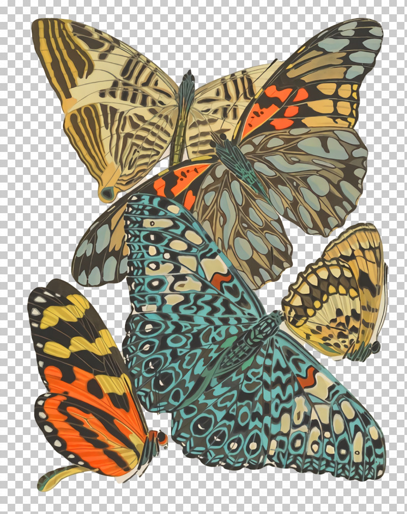 Monarch Butterfly PNG, Clipart, Brushfooted Butterflies, Monarch Butterfly, Moth, Tiger Milkweed Butterflies Free PNG Download