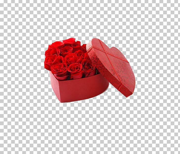 Beach Rose Garden Roses Cut Flowers PNG, Clipart, Beach Rose, Box, Cardboard, Cardboard Box, Cut Flowers Free PNG Download