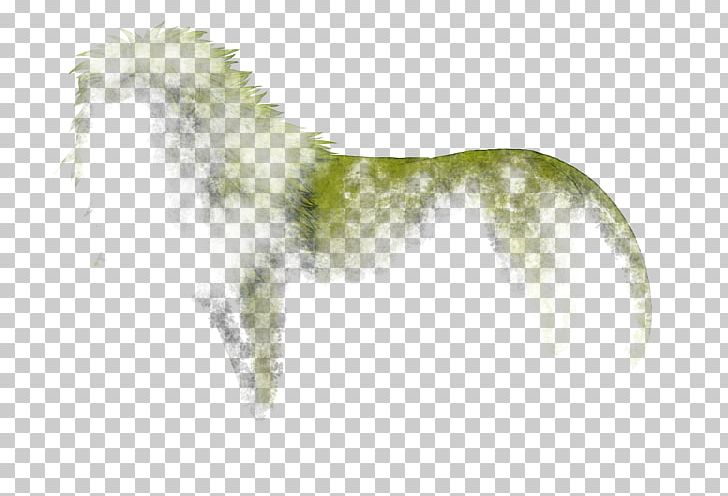 Dog Breed Snout Tail PNG, Clipart, Animals, Breed, Carnivoran, Dog, Dog Breed Free PNG Download