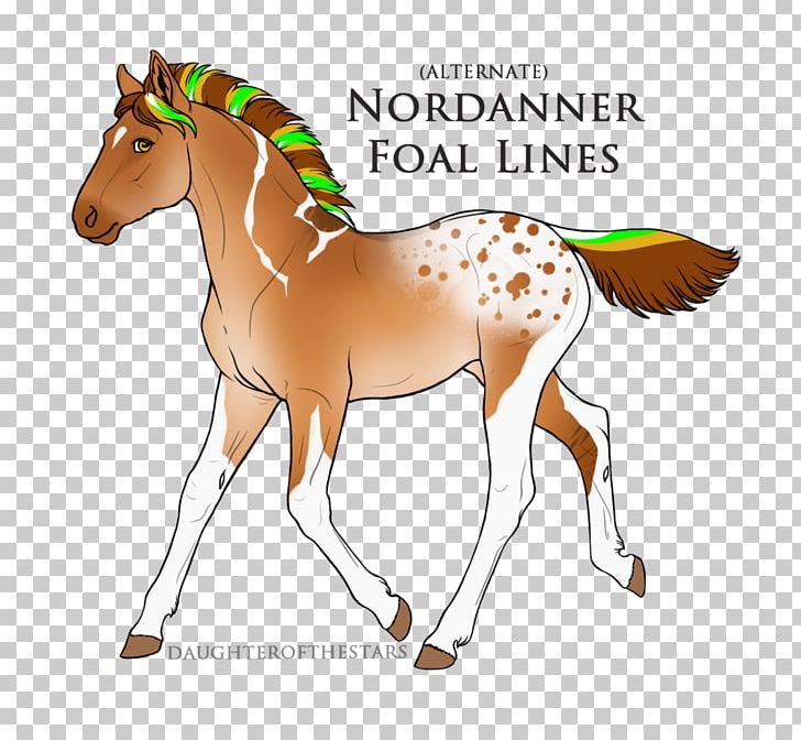 Mane Mustang Foal Stallion Mare PNG, Clipart,  Free PNG Download