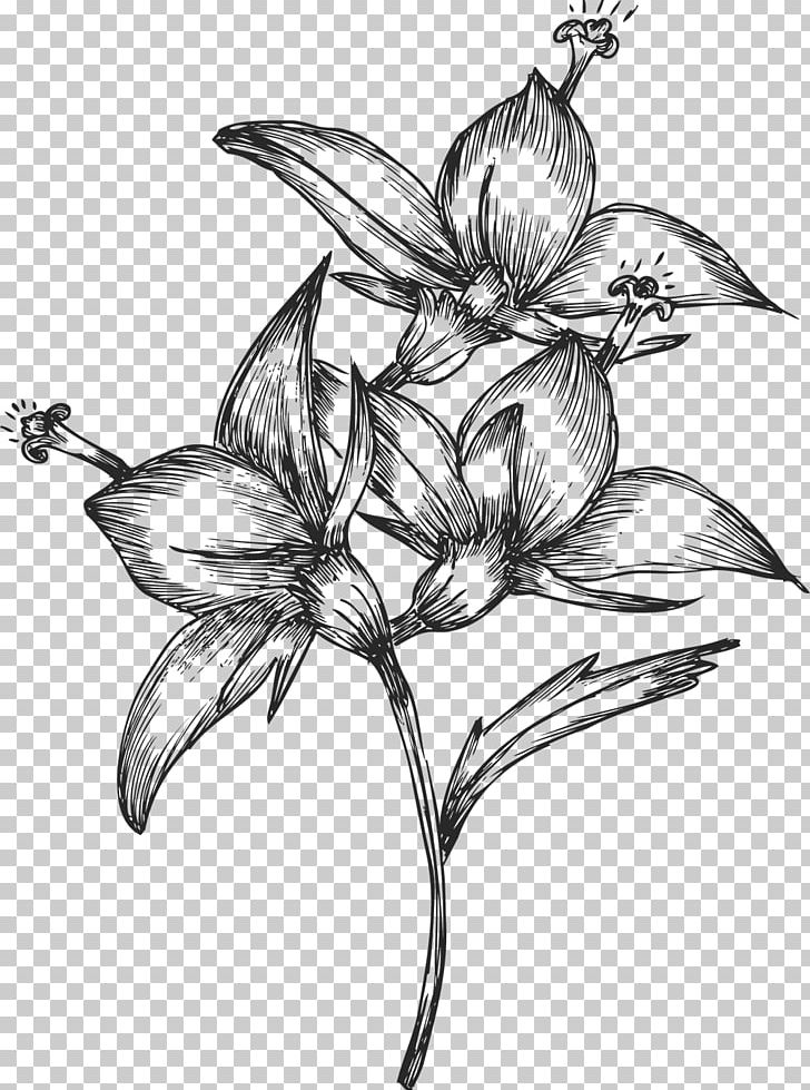 Drawing Flower PNG, Clipart, Art, Art, Black And White, Branch, Brush Free PNG Download