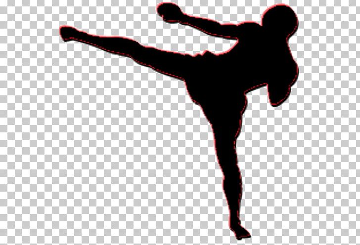 Poster Art Kickboxing Kickboxer PNG, Clipart, American Kickboxer 2, Arm, Art, Canvas, Dancer Free PNG Download