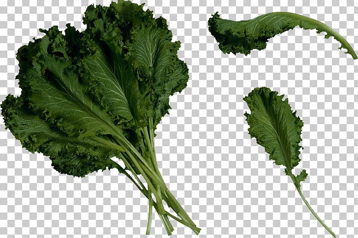 Saag Brassica Juncea Mustard Marrow-stem Kale Food PNG, Clipart, Bra, Broccoli, Chinese Cabbage, Collard Greens, Dijeta Free PNG Download