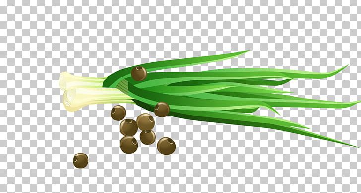 Vegetable Scallion Cartoon PNG, Clipart, Background Green, Cartoon Hand Painted, Condiment, Drawing, Grass Free PNG Download