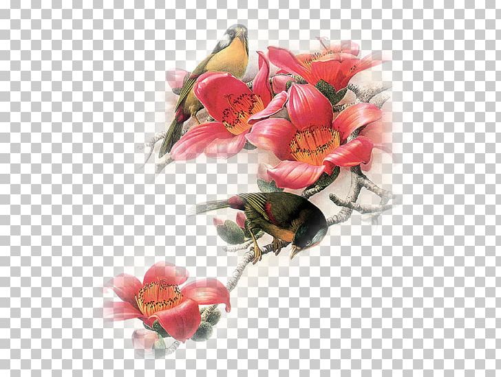Bird Gfycat Flower Bokmärke PNG, Clipart,  Free PNG Download