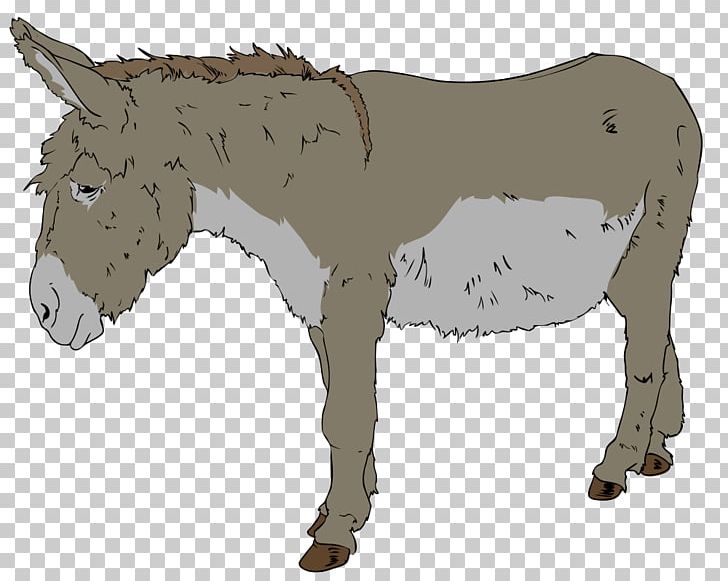 Benjamin Donkey Free Content PNG, Clipart, Benjamin, Blog, Donkey, Drawing, Free Content Free PNG Download