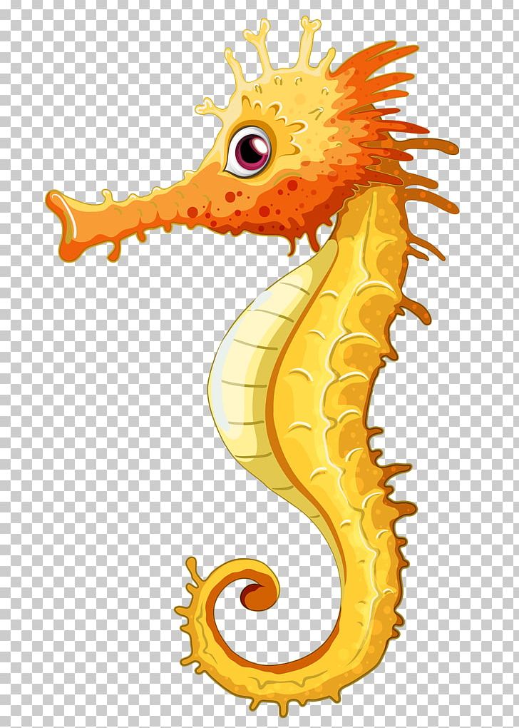 Seahorse PNG, Clipart, Animals, Art, Clip Art, Computer Icons, Cute Seahorse Free PNG Download