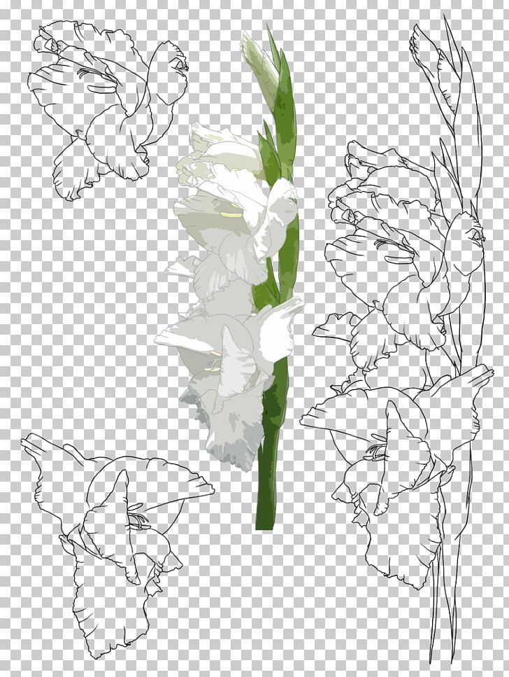 Floral Design Flower Gladiolus Xd7gandavensis Painting Illustration PNG, Clipart, Angle, Branch, Flower Arranging, Flowers, Gladiolus Xd7gandavensis Free PNG Download