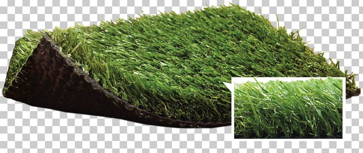 Artificial Turf Lawn Garden Thatch Carpet PNG, Clipart, Artificial Turf, Backyard, Blend, Bluegrass, Carpet Free PNG Download