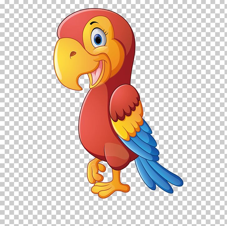 Colorful Parrot PNG, Clipart, Animal, Art, Beak, Bird, Cartoon Free PNG Download