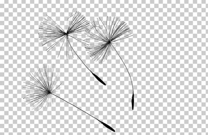 Dandelion Drawing Seed Illustration PNG, Clipart, Chaos, Circle, Creative Ads, Creative Artwork, Creative Background Free PNG Download