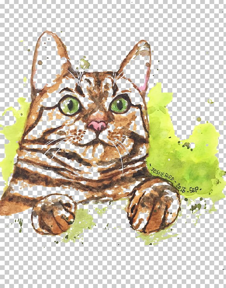Tabby Cat Kitten Watercolor Painting Illustration PNG, Clipart, Animal, Animals, Art, Bird, Carnivoran Free PNG Download