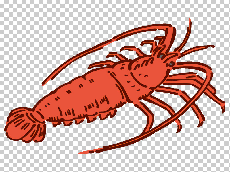 American Lobster European Lobster Spiny Lobster Dungeness Crab Crayfish PNG, Clipart, American Lobster, Crab M, Crabs, Crayfish, Dungeness Crab Free PNG Download