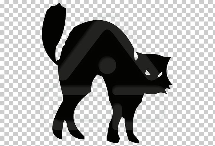 Cat Silhouette PNG, Clipart, Animal, Animals, Black, Black And White, Black Cat Free PNG Download