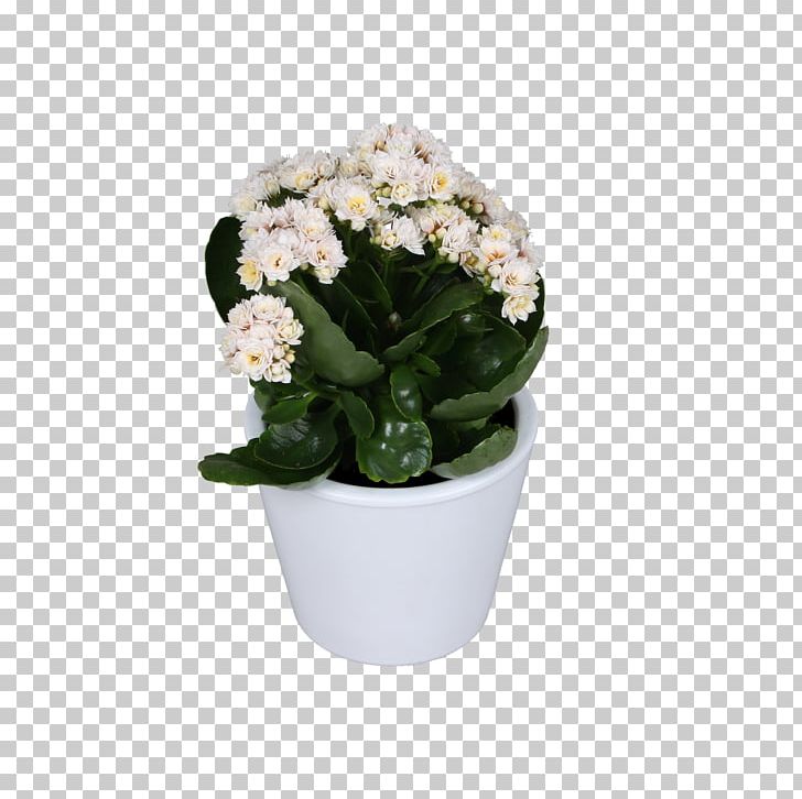 Cut Flowers Flowerpot Artificial Flower Flowering Plant PNG, Clipart, Artificial Flower, Cut Flowers, Flower, Flowering Plant, Flowerpot Free PNG Download